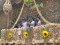 Pahiyas Festival