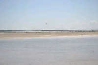 Olango Island