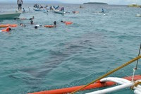 Oslob