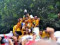 Traslacion of Black Nazarene