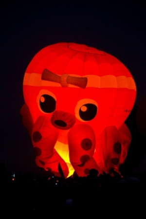 Hot Air Balloon Fiesta (Album 4)