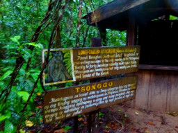 underground river DSC01404