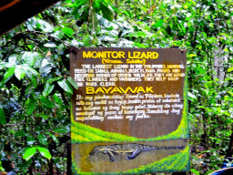 underground river DSC 0057