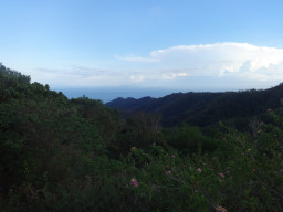 mt tibig DSC02272