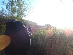 mt tibig DSC02293