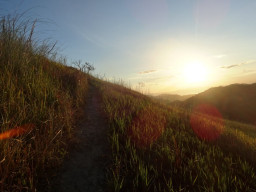 mt tibig DSC02332