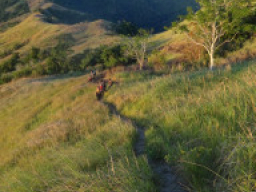 mt tibig DSC02333