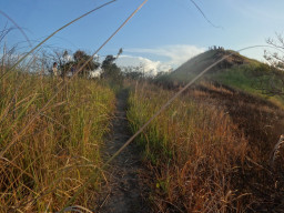 mt tibig DSC02336