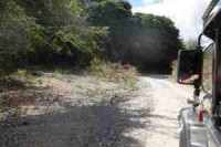 Mt. Tibig
