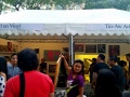 Art in the park 20160403 170118