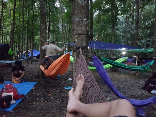 hammock 20161203 060114