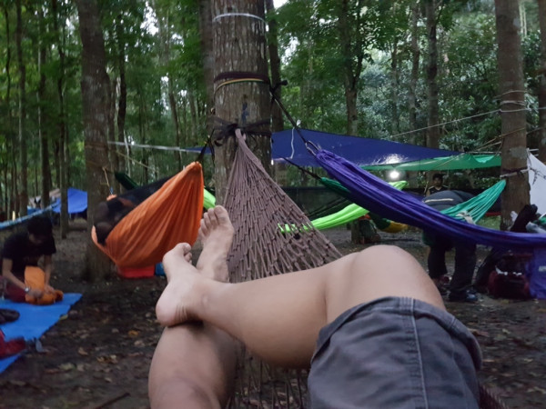hammock 20161203 060423