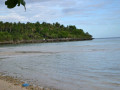 DSC 0113