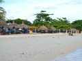 DSC 0116