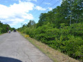 DSC 0246