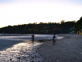DSC 0131