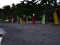DSC 0135