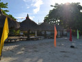 DSC 0500