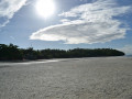 DSC 0509