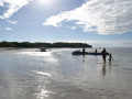 DSC 0530