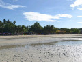 DSC 0537