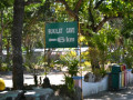 DSC 0151