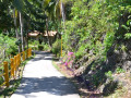 DSC 0162