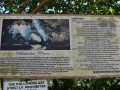 DSC 0164