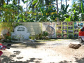 DSC 0168