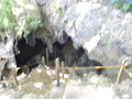 DSC 0171