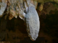 DSC 0173