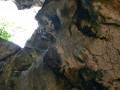 DSC 0179