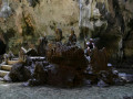 DSC 0186