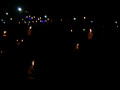 DSC 0334