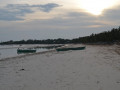 DSC 0361