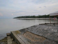 DSC 0368