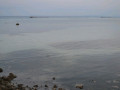 DSC 0369