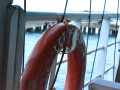 DSC 0388
