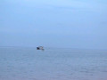 DSC 0389