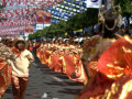DSC 0664