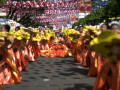 DSC 0673