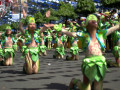 DSC 0705