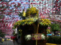 DSC 0802