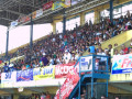 DSC 0958