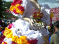 DSC 0023