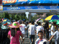 DSC 0024