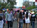DSC 0981