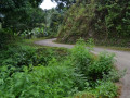 DSC 0078