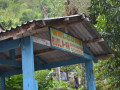 DSC 0079