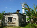 P1020920